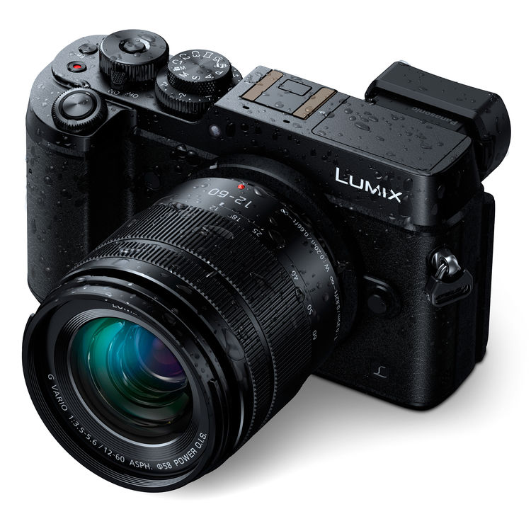 Panasonic Lumix G Vario 12-60mm f/3.5-5.6 ASPH. Power O.I.S. - WESTBUY
