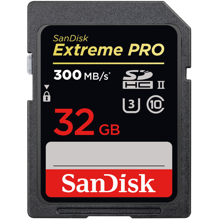 PANASONIC 32GB Micro P2 UHS-II Memory Card AJ-P2M032AG 200MB/s