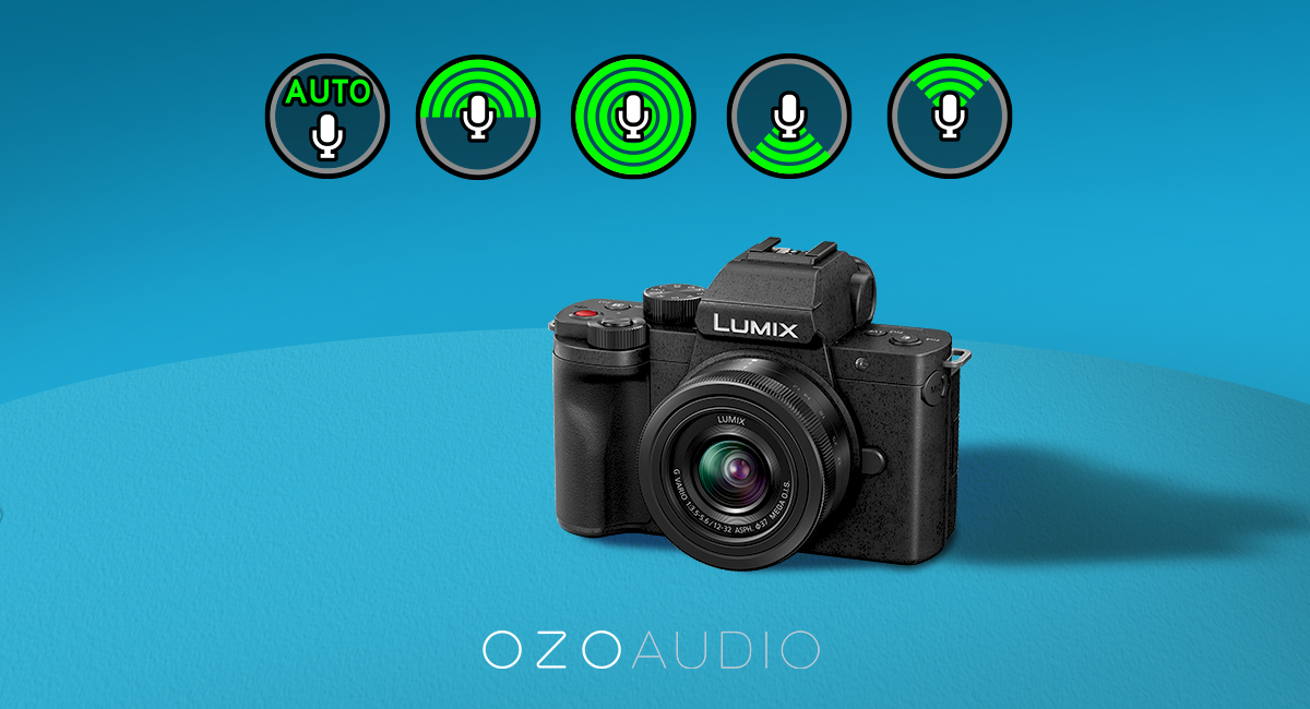 Panasonic Lumix DC-G100 Mirrorless Digital Camera with 12-32mm