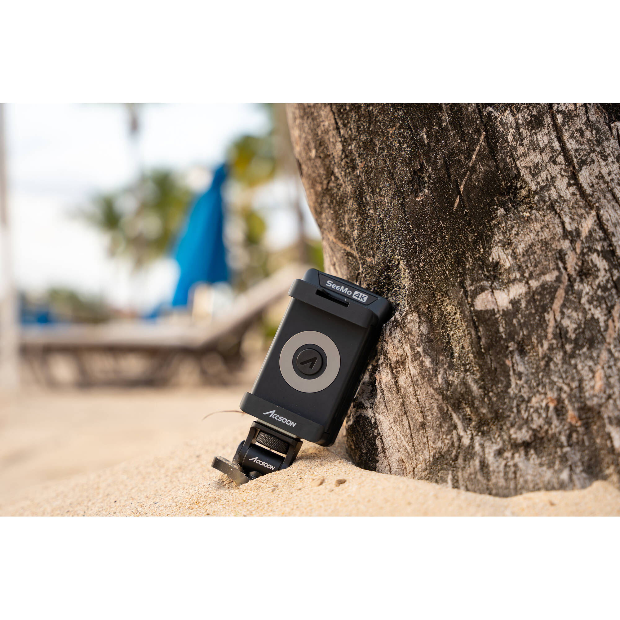 Accsoon SeeMo 4K iOS/HDMI Video Capture Terminal for iPhone and