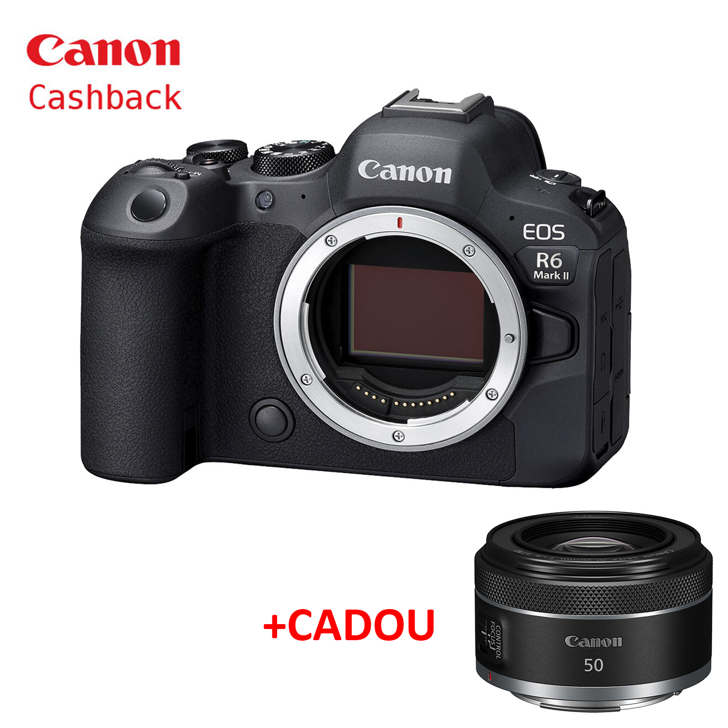 Canon EOS R6 Mark II Mirrorless Camera Body - WESTBUY