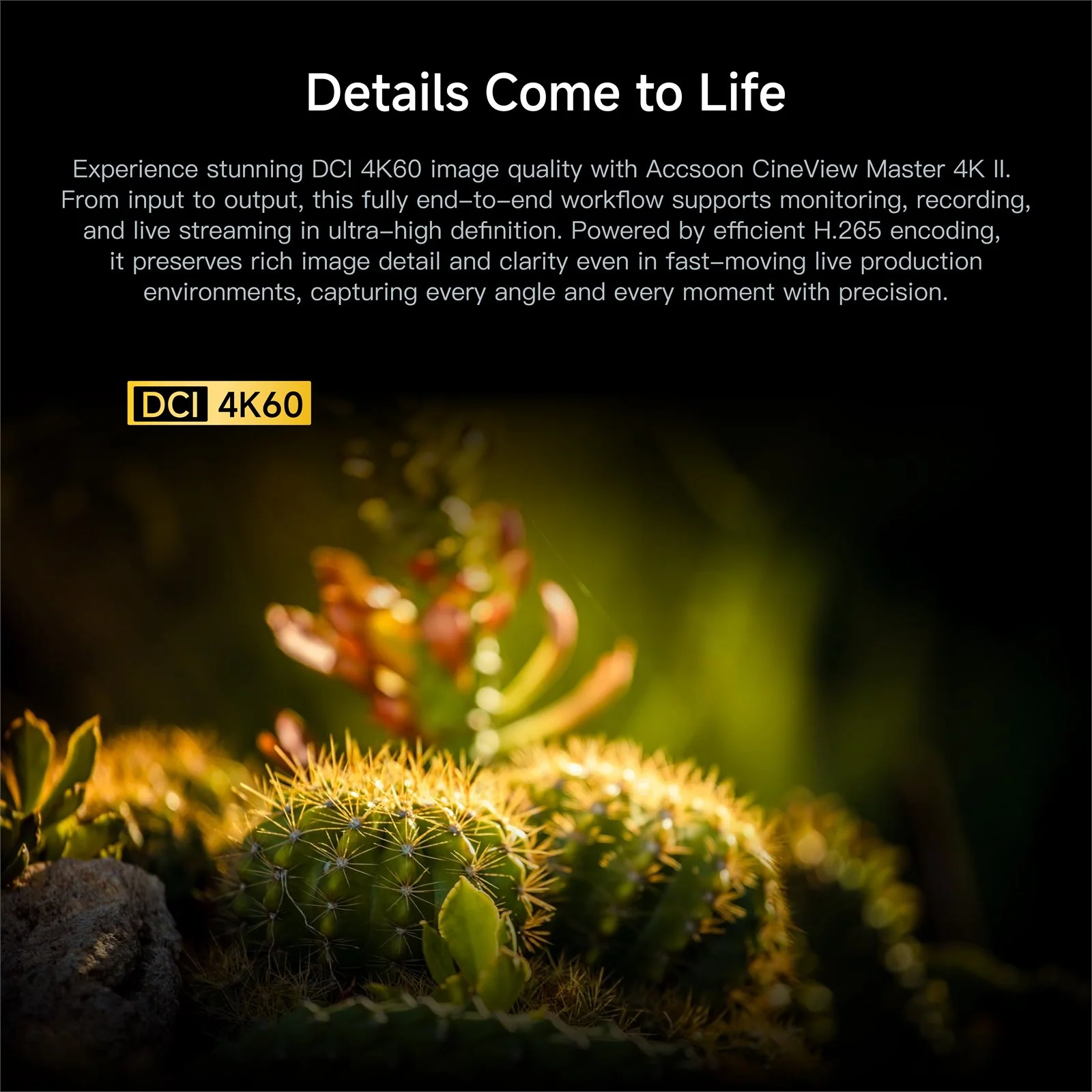 Accsoon CineView Master 4K II TX and RX