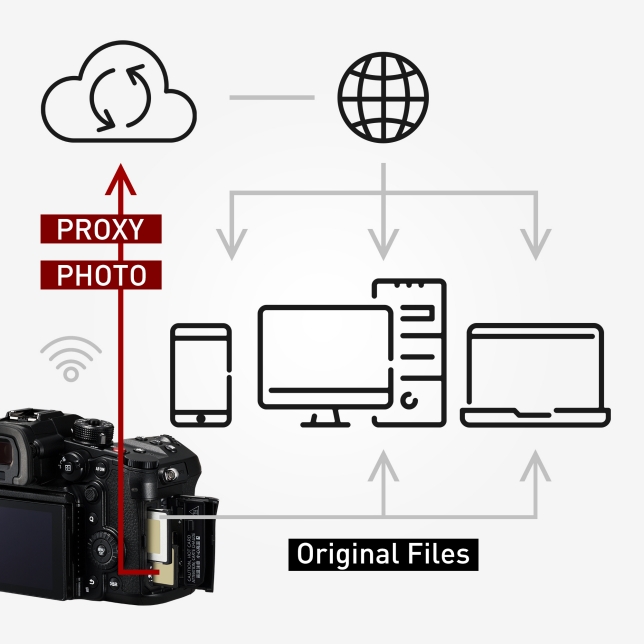 product-additional-image